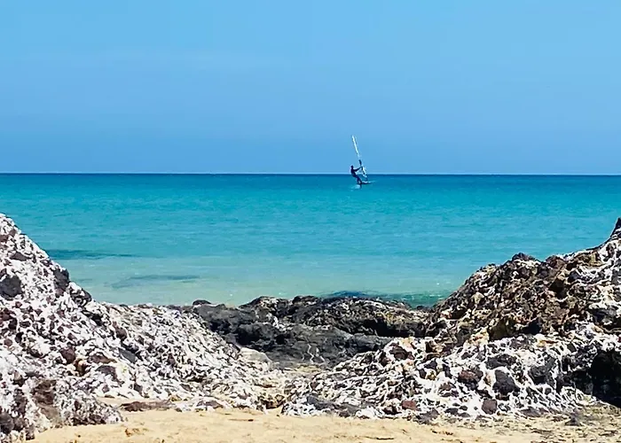 Savoa 247 塔拉哈勒赫