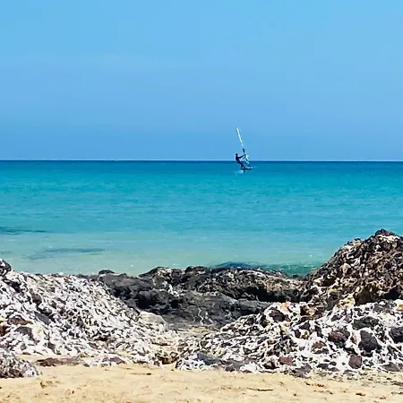 Savoa 247 타라할레호